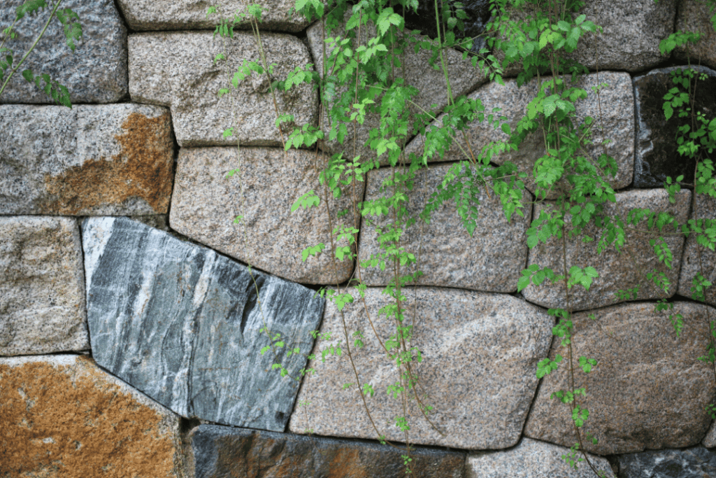 Natural Stone: A Sustainable Solution For Your Home